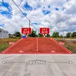 Bán đất nền Tân Triều Bình Dương từ 1,2 tỷ SHR 70-130m² - Ảnh thu nhỏ 3