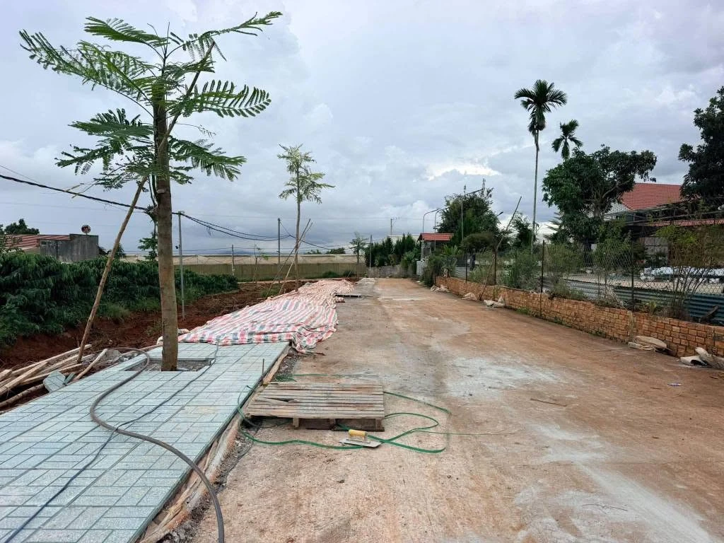 Bán đất 40000m² Xã Tân Hà Cần Giờ 2,5 tỷ - Ảnh thu nhỏ 2