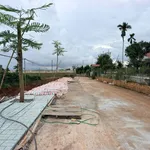 Bán đất 40000m² Xã Tân Hà Cần Giờ 2,5 tỷ - Ảnh thu nhỏ 2