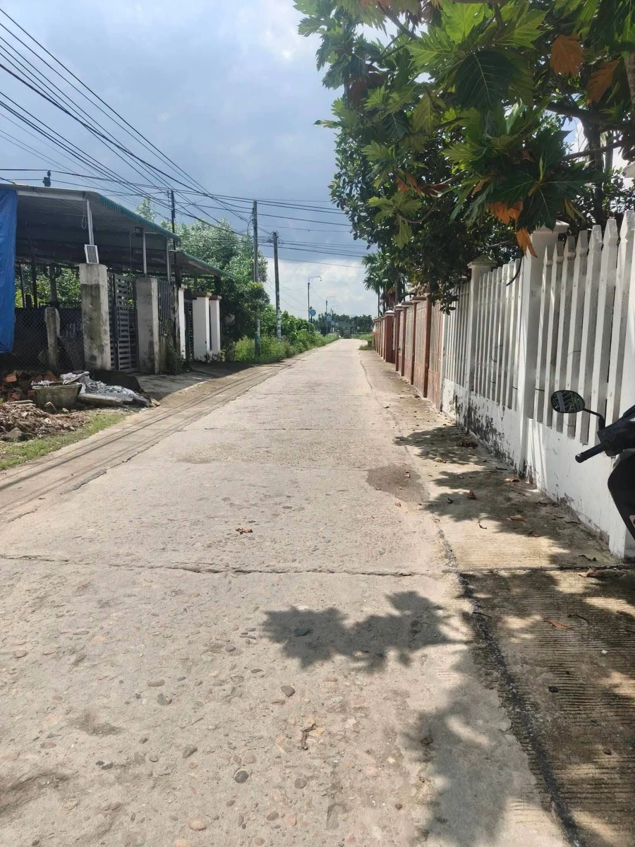 Bán đất 125m² gần chợ Mỹ Yên, Cần Giờ - Ảnh thu nhỏ 2