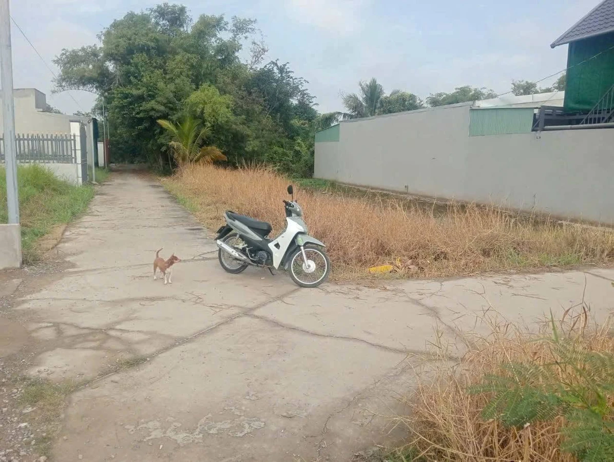 Bán lô đất 186m² Xã Long Khê, Cần Đước, Long An - 900 triệu - Ảnh thu nhỏ 4