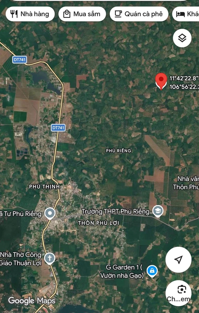 Đất cao su ~1 hecta Phú Riềng 1 tỷ - Ảnh 1