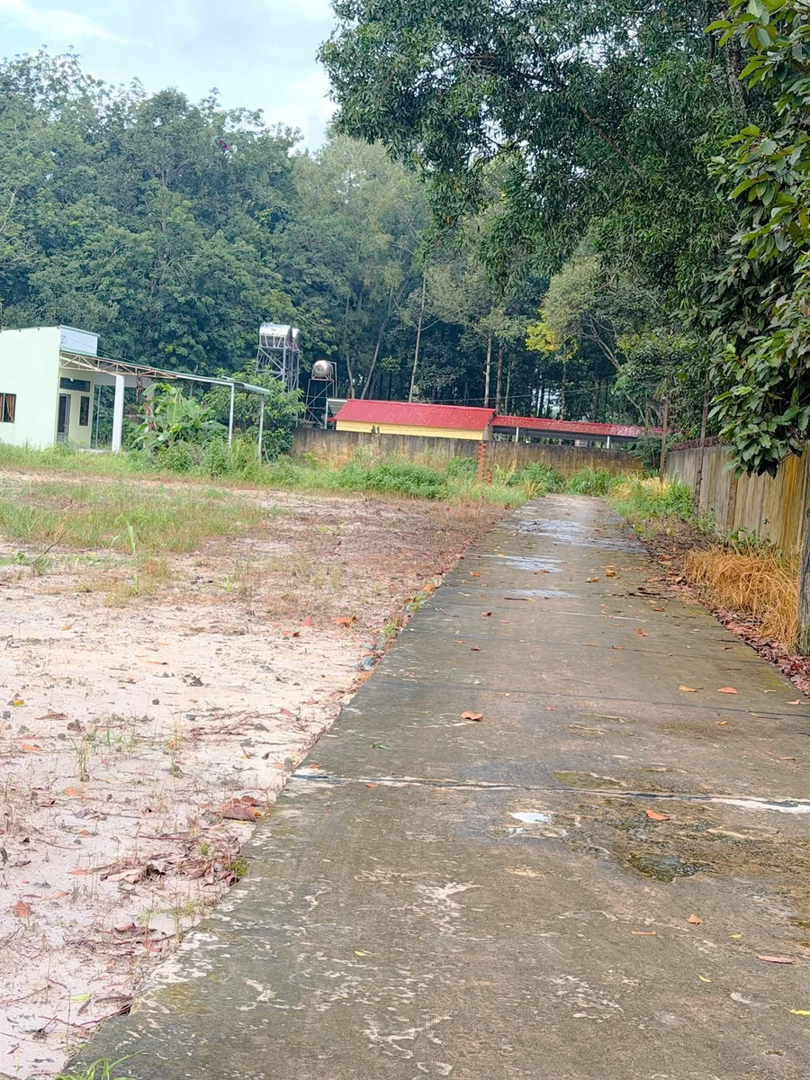Bán đất 500m2, mặt tiền 13m, Phường Minh Long, Nhà Bè - Ảnh thu nhỏ 5