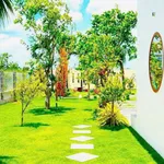 Bán nhà vườn 1.600m² tại Hàm Chính, Lâm Đồng, 1 tỷ 790 triệu - Ảnh thu nhỏ 5