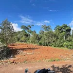 Bán đất mặt tiền đường nhựa 5x30m gần ngã 4 đèn đỏ Đường Tránh Đông, Phường Ea Kao, Đắk Lắk - Ảnh thu nhỏ 4