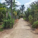 Bán đất Vườn dừa 3,337 m² Nhơn Thạnh Bến Tre - Ảnh thu nhỏ 1