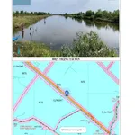 Bán đất nền 20 công Cà Mau, giá ngộp ngân hàng - Ảnh thu nhỏ 3