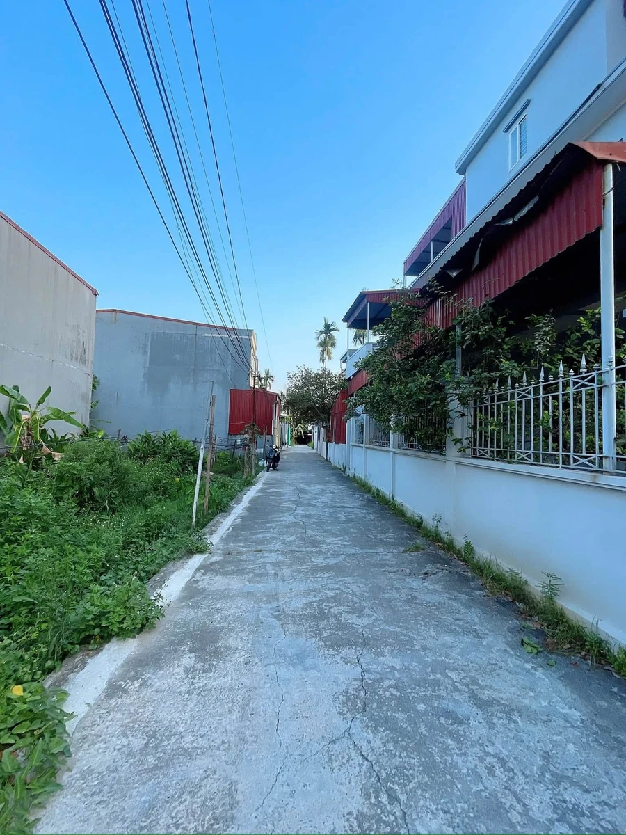 Bán lô đất 100m2 Thành Tô Tràng Cát Hải An - Ảnh thu nhỏ 3
