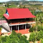 Bán đất nông nghiệp 8445m² TP Đà Lạt – 15 tỷ - Ảnh thu nhỏ 1
