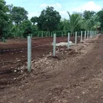 Bán đất mặt tiền Nhà Nước 504m², 759 triệu Phường Bình Mỹ Trung - Ảnh thu nhỏ 4