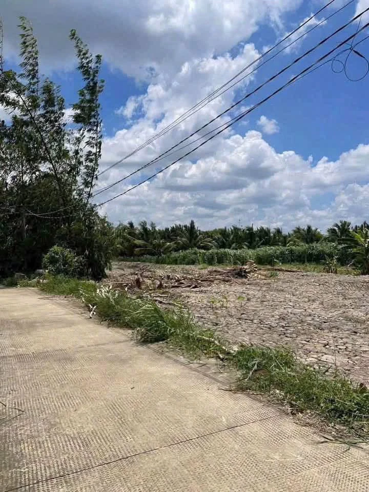 Bán đất vườn 1540m² Vĩnh Công Tây Ninh giá 999 triệu - Ảnh thu nhỏ 3