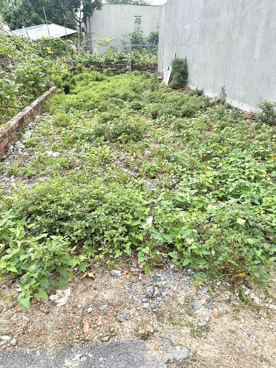 Bán đất 89.3m² Tăng Nhơn Phú, Thủ Đức, giá 5.6 tỷ - Ảnh thu nhỏ 3