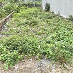 Bán đất 89.3m² Tăng Nhơn Phú, Thủ Đức, giá 5.6 tỷ - Ảnh thu nhỏ 3
