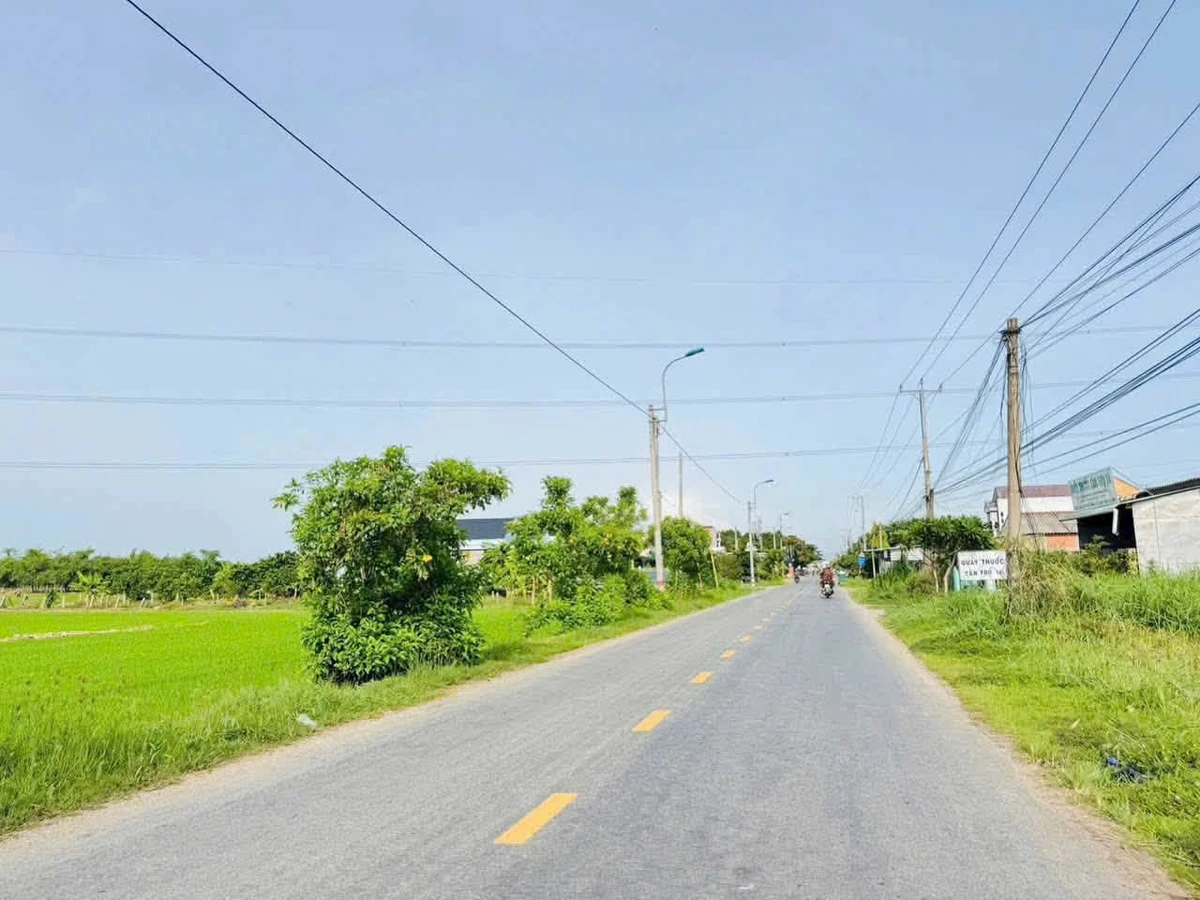 Bán đất thổ cư mặt tiền 5x33m Lạc Tấn Tân Trụ 1 tỷ 650 triệu - Ảnh thu nhỏ 2