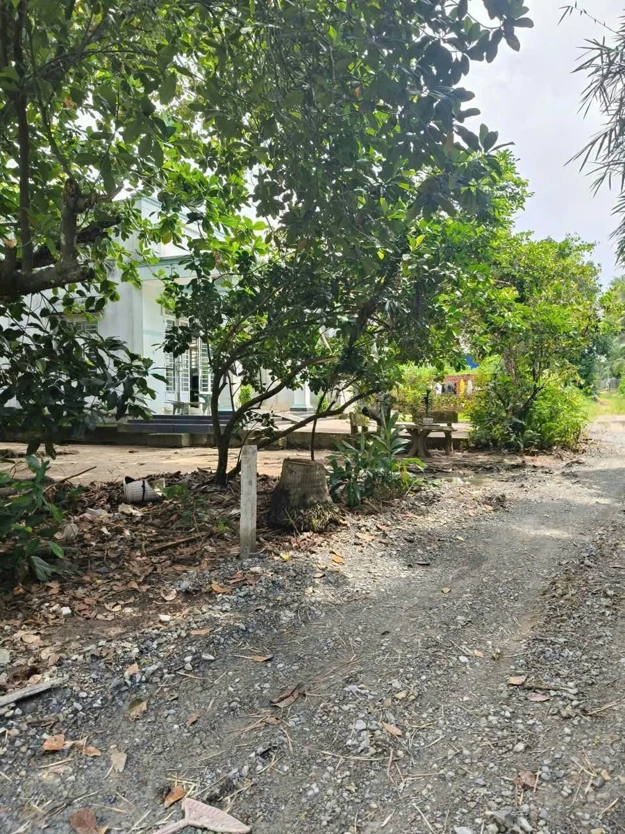 Bán đất 5x16m thổ cư 70m² giá 250 triệu tại Trường Hòa, Phường Long Hoa, Tây Ninh - Ảnh thu nhỏ 4