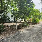 Bán đất 5x16m thổ cư 70m² giá 250 triệu tại Trường Hòa, Phường Long Hoa, Tây Ninh - Ảnh thu nhỏ 4