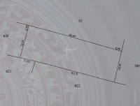 Hot! Bán đất ruộng đã lên líp trồng rau 2.000m2, có sổ, tưới tự động, Gò Công Đông, Tiền Giang - Ảnh thu nhỏ 4