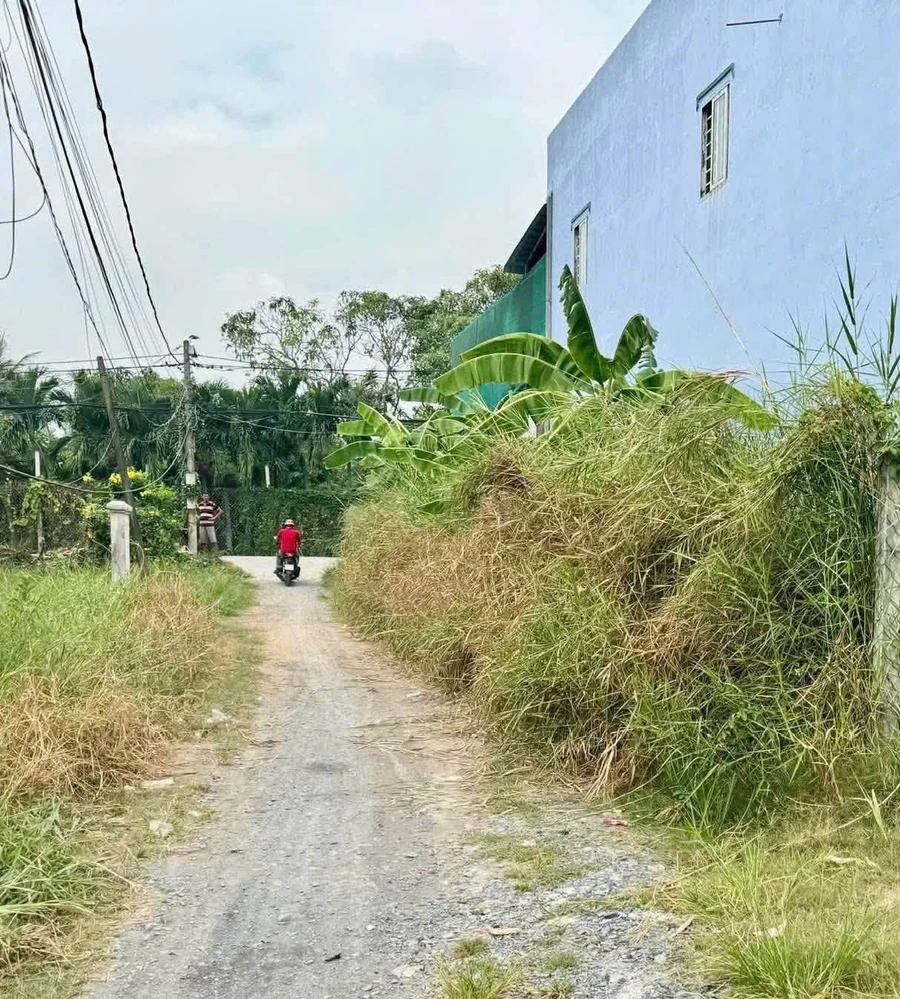 Bán đất thổ 172m2 (9.3x16.3) xã Tân Quý Tây, Bình Chánh, giá 3 tỷ - Ảnh thu nhỏ 2