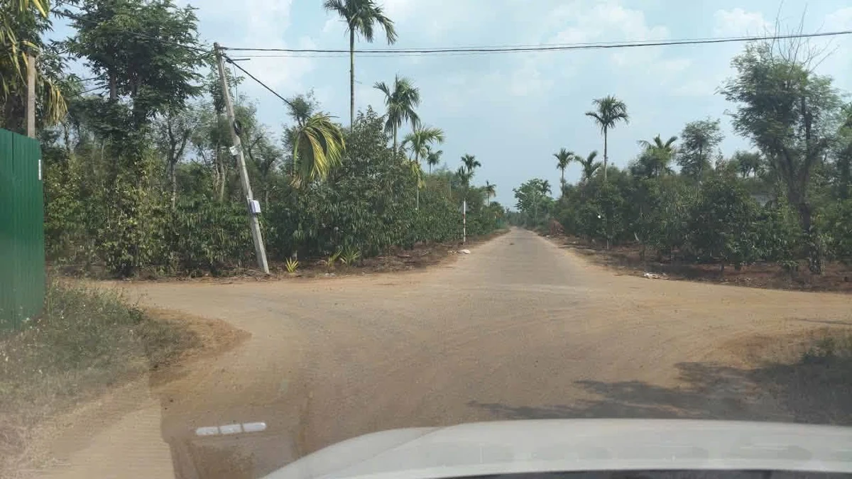 Bán đất sầu riêng 2,01 ha Hoà Thuận, Long An - Ảnh thu nhỏ 3