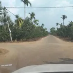 Bán đất sầu riêng 2,01 ha Hoà Thuận, Long An - Ảnh thu nhỏ 3