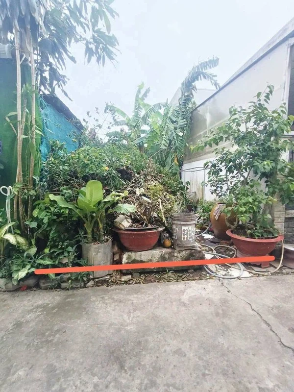 Bán đất thổ cư 4x24 (96m2) hẻm Cử Luyện, phường 5, Tân An, giá 800 triệu
