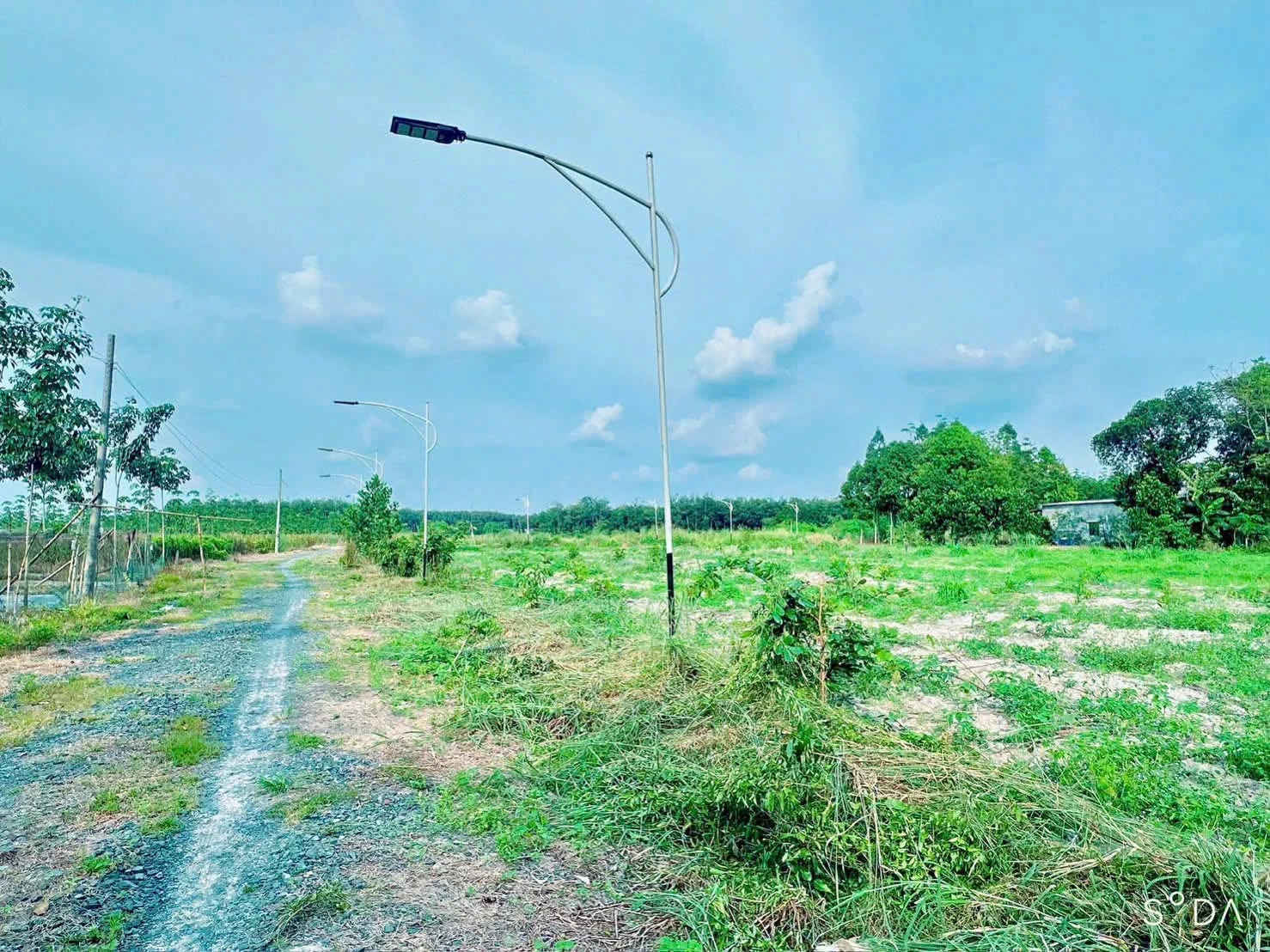 Bán đất 15.250m² khu phố 5 phường Minh Hưng 380 triệu - Ảnh 1