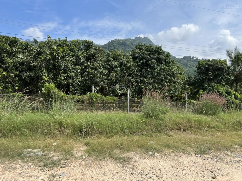 Bán 9500m vuông đất trồng CLN, quy hoạch lên đất ONT, sổ hồng riêng, chính chủ