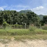 Bán 9500m vuông đất trồng CLN, quy hoạch lên đất ONT, sổ hồng riêng, chính chủ - Ảnh thu nhỏ 1