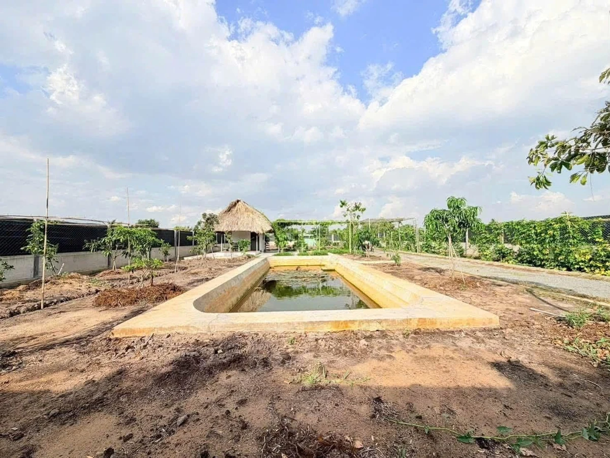Bán đất vườn 1000m2 ngang 14m, Phú Giáo Bình Dương - Ảnh thu nhỏ 4