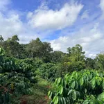 Bán đất 1,4ha mặt đường Đồng Khởi Gia Nghĩa 6 tỷ - Ảnh thu nhỏ 4