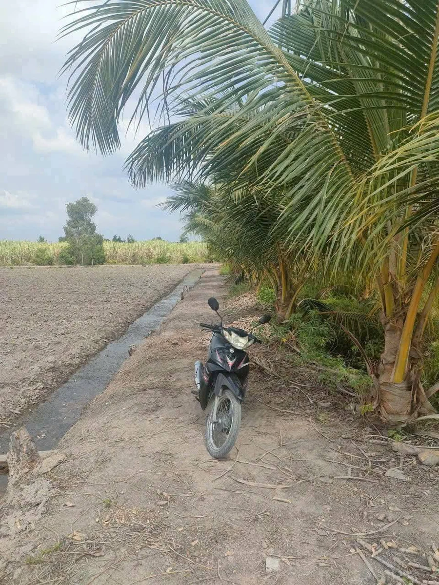 Bán 5950m² đất vườn Tây Ninh 3 tỷ 600 triệu - Ảnh thu nhỏ 4