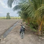 Bán 5950m² đất vườn Tây Ninh 3 tỷ 600 triệu - Ảnh thu nhỏ 4