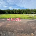 Bán lô đất 265m² Tây Ninh 295 triệu - Ảnh thu nhỏ 5