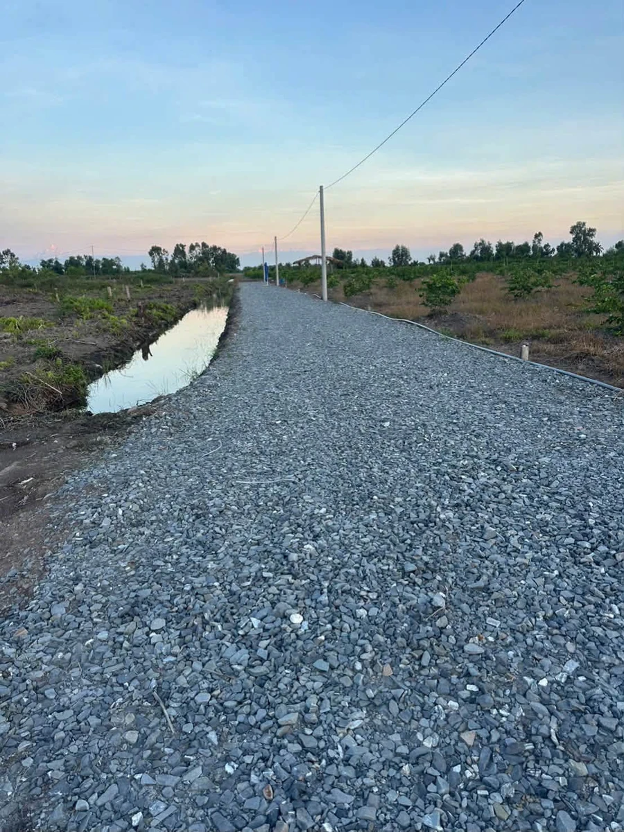 Bán đất 1000m2 ấp 3 xã Tân Thành, Thủ Thừa, Long An giá 490 triệu - Ảnh thu nhỏ 4