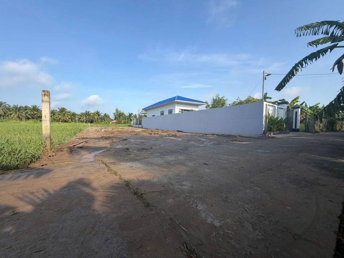 Bán đất mặt tiền hẻm Lộ Triền Đồng 350m2 - Ảnh thu nhỏ 3