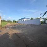 Bán đất mặt tiền hẻm Lộ Triền Đồng 350m2 - Ảnh thu nhỏ 3