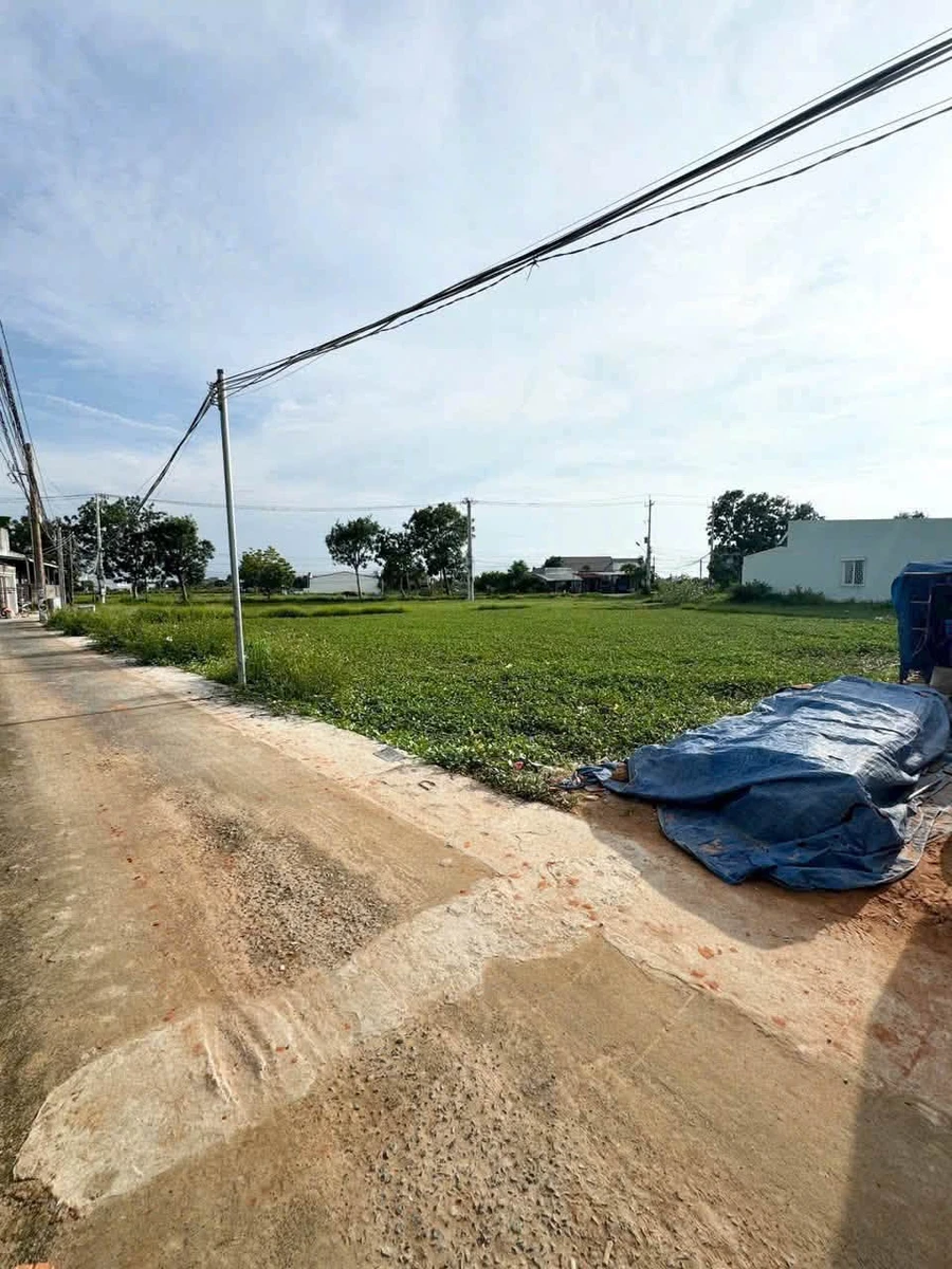 Bán đất thổ cư 130m² Phong Nẫm Phan Thiết 800 triệu - Ảnh thu nhỏ 2