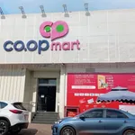 Bán lô đất 270m² đường Tổ Nhà Hàng Mỹ Linh, Bình Tân - Ảnh thu nhỏ 1