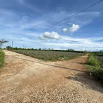 Bán nhà liền kề hẻm chính 150m² Trường Sa, Bình Tân - Ảnh thu nhỏ 2