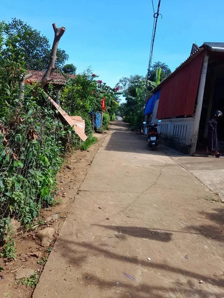 Bán đất 294m2 Vĩnh Hòa Vĩnh Linh Quảng Trị sổ thổ - Ảnh 1