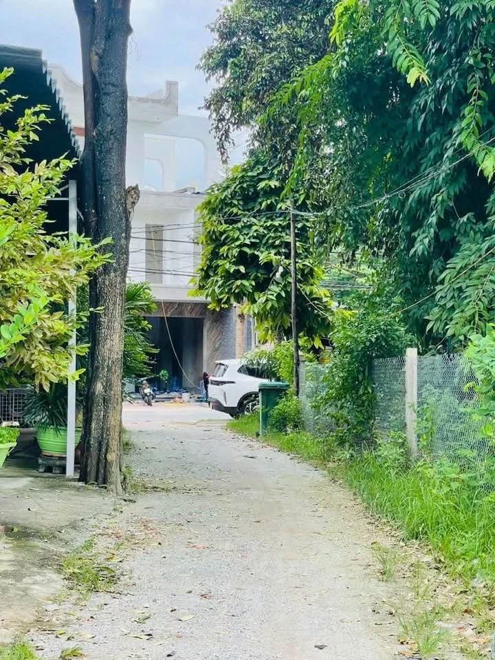 Bán đất hẻm Lê Đại Hành 82m2 Quận 1 - Ảnh thu nhỏ 2