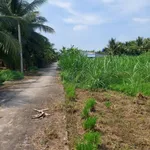 Bán đất Phú Hưng Bến Tre 1173m2 giá 670 triệu - Ảnh thu nhỏ 1