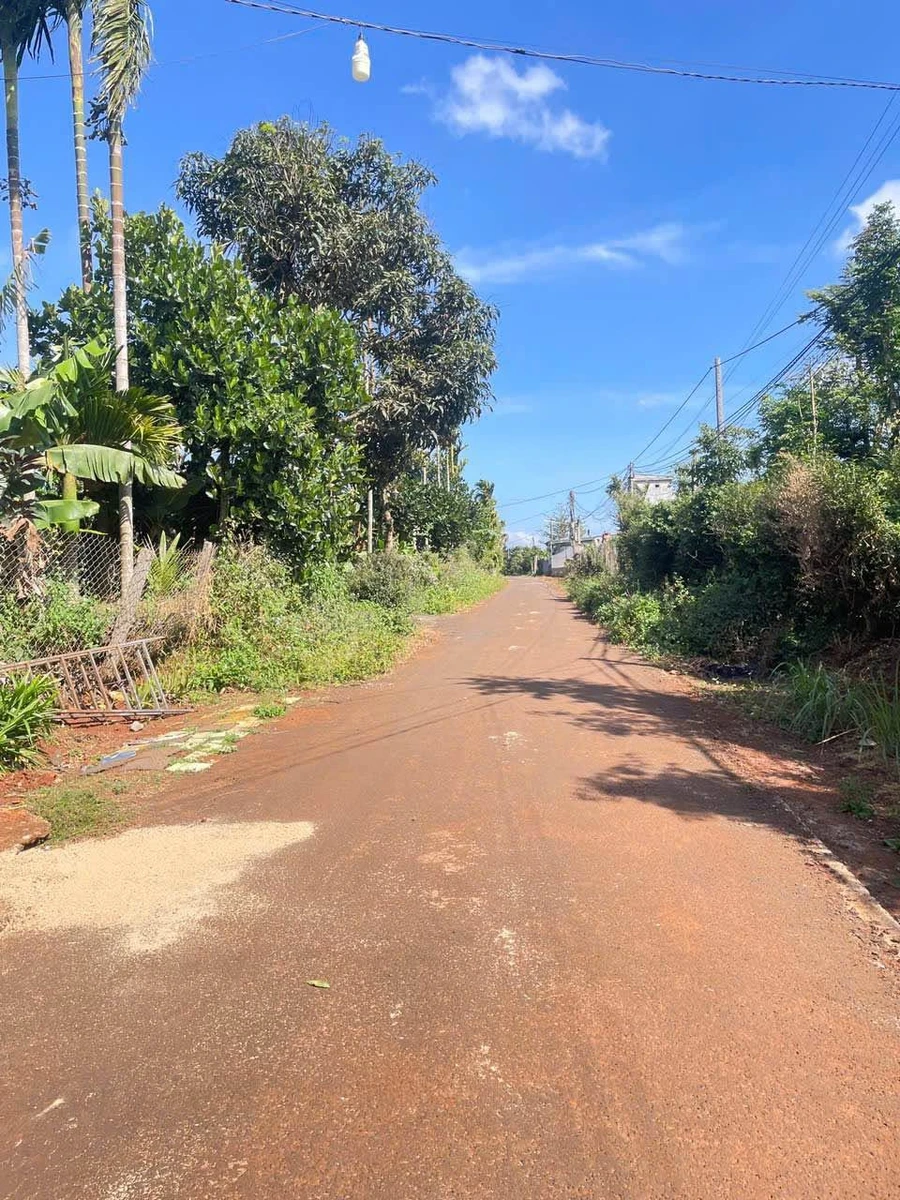 Bán lô đất mặt tiền Đạt Lý, Bình Minh, 380m² - Ảnh 1