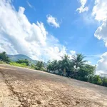Bán đất mặt tiền Bầu Dài Diên Khánh 129.5m² 770 triệu - Ảnh thu nhỏ 2