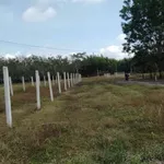 Bán đất ở Xóm Mới 2, Bình Chánh, 220 m² giá 140 triệu - Ảnh thu nhỏ 1
