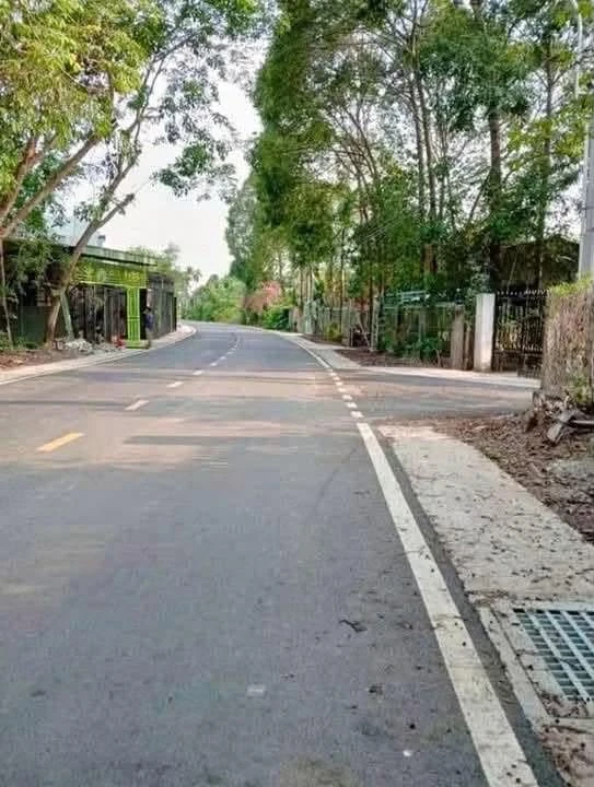 Bán 2 lô đất trục đường 12m Phú An, Bình Dương, giá 1tỷ800 - Ảnh thu nhỏ 2