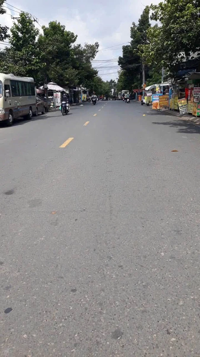 Bán đất mặt tiền Huỳnh Dân Sanh, Long Bình, Đồng Nai, 300m2, 7 tỷ - Ảnh 1