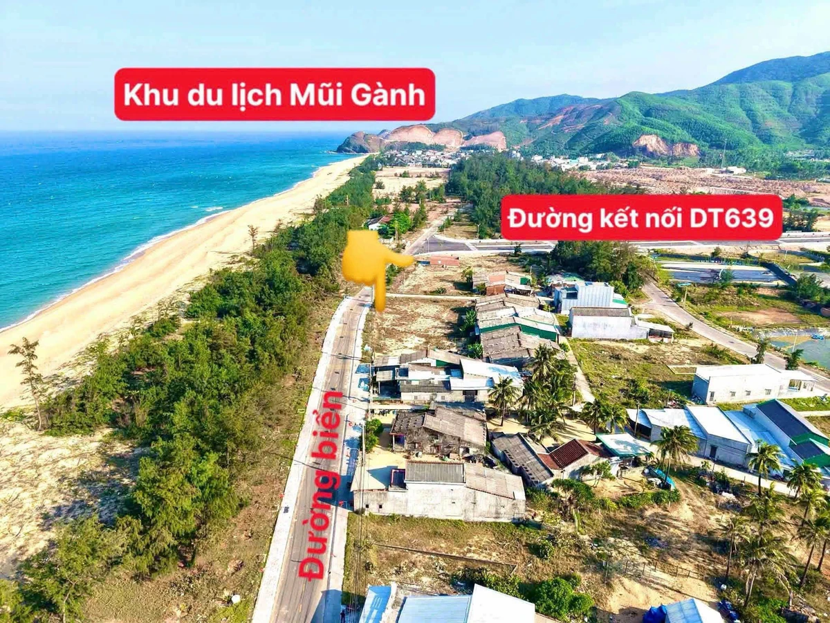 Bán đất 150m² 3 mặt tiền hướng Đông, nhìn biển Gia Lai - Ảnh thu nhỏ 2