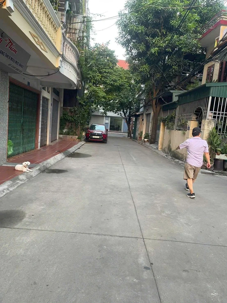 Bán nhà mặt phố Đào Đạo, Hải Dương, 122.8m2, 40 triệu/m2 - Ảnh thu nhỏ 3