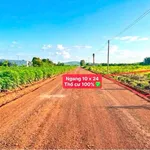 Bán đất 240m2 đối diện KCN Becamex Chơn Thành, 550 triệu - Ảnh thu nhỏ 3